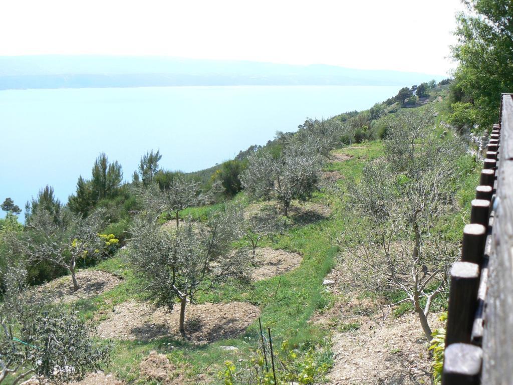 لوكفا روجوزنيكا Charismatic Garden Cottage With Sea View المظهر الخارجي الصورة
