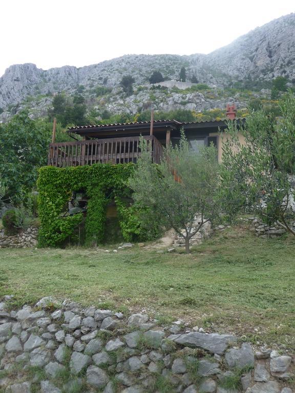 لوكفا روجوزنيكا Charismatic Garden Cottage With Sea View المظهر الخارجي الصورة