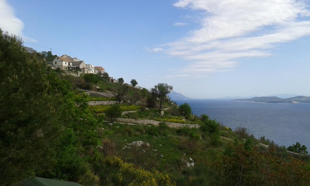 لوكفا روجوزنيكا Charismatic Garden Cottage With Sea View المظهر الخارجي الصورة