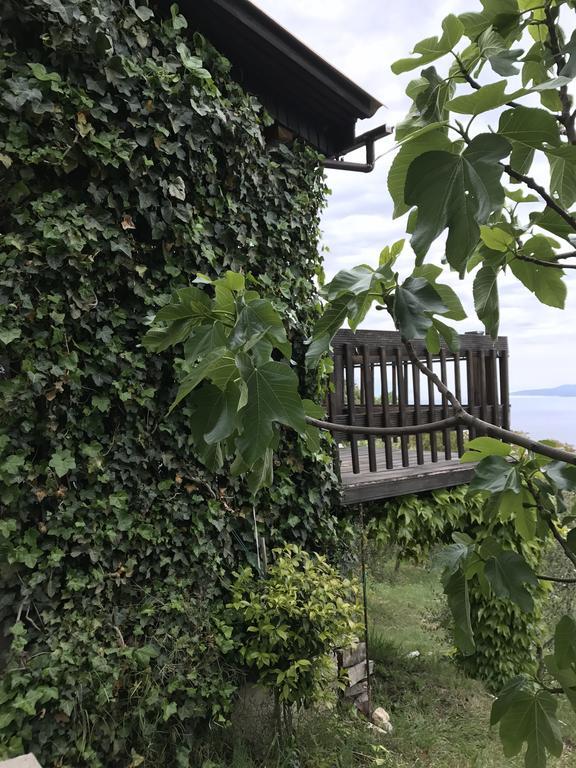لوكفا روجوزنيكا Charismatic Garden Cottage With Sea View المظهر الخارجي الصورة